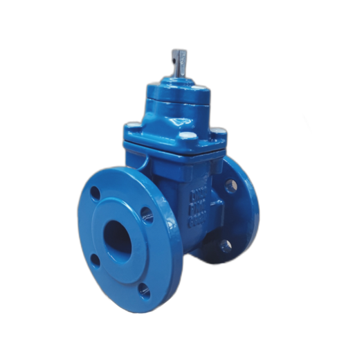 Hard seal dark rod gate valve DN50