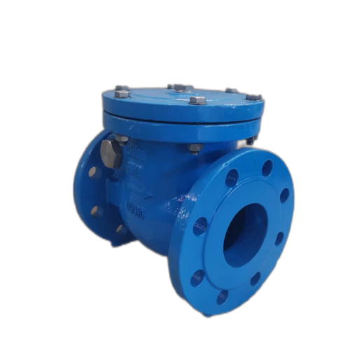 Turn the check valve DN80